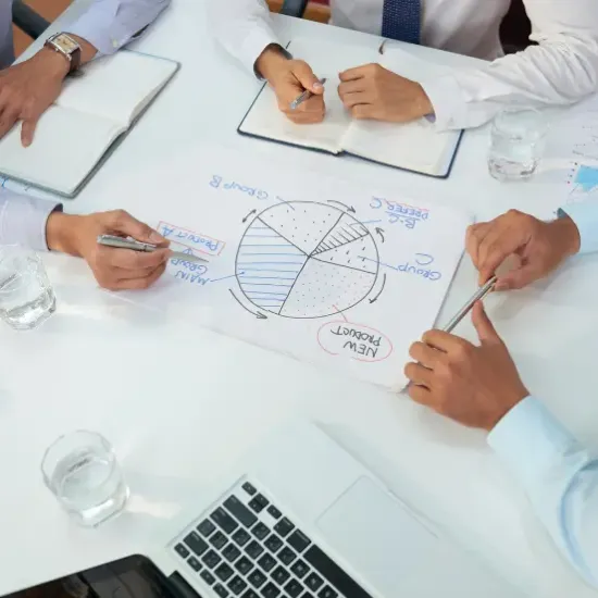 Picture of Consultation and Project Management